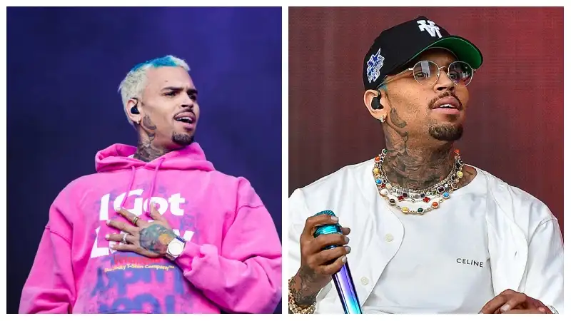 Chris Brown net worth in 2024